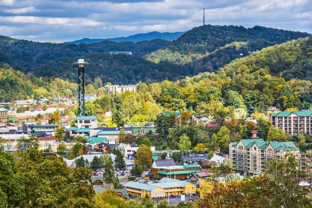 Fawn Cabin, 1 Bedroom, Sleeps 4, Hot Tub, Private, Pets, Gas Fireplace Gatlinburg Buitenkant foto