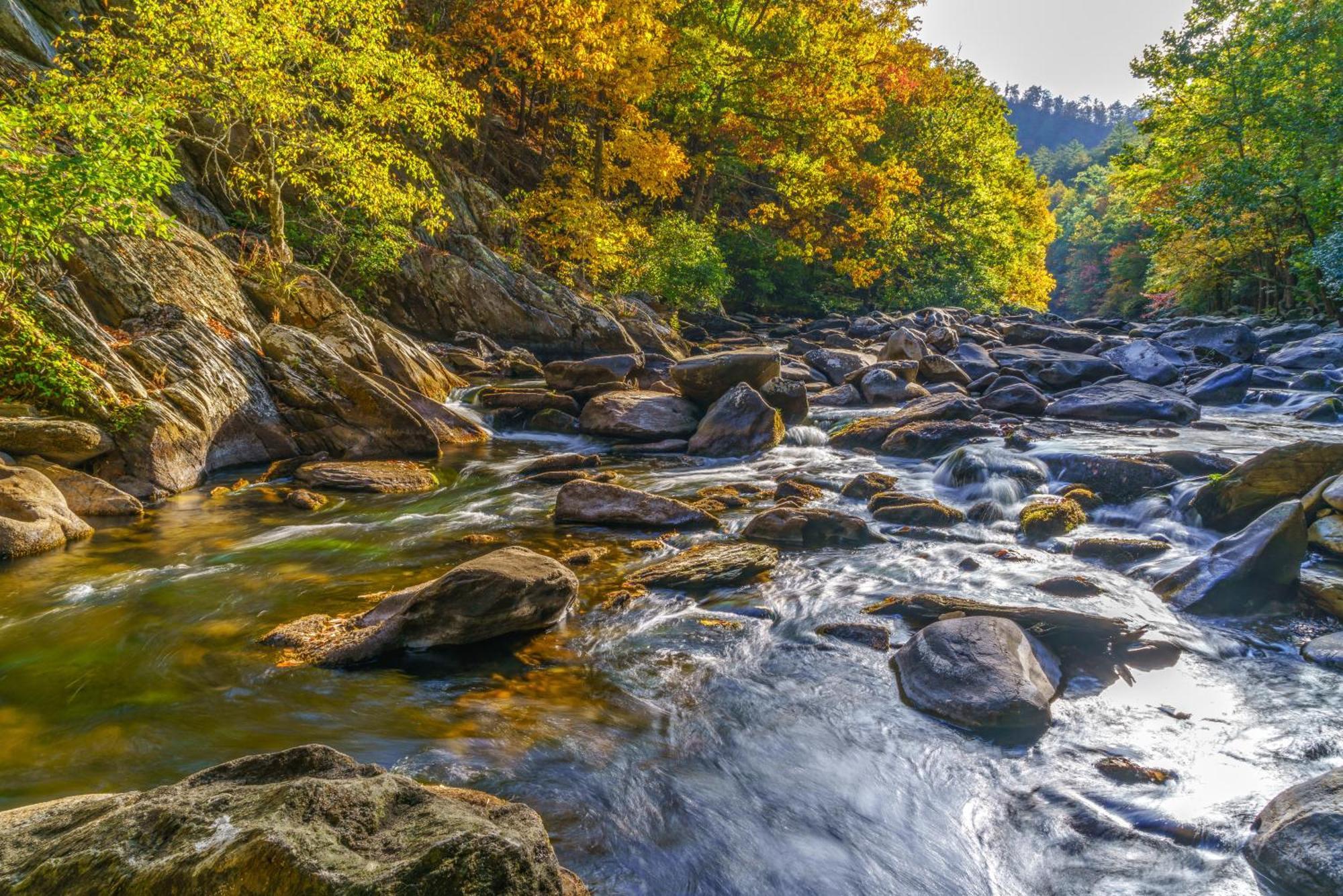 Fawn Cabin, 1 Bedroom, Sleeps 4, Hot Tub, Private, Pets, Gas Fireplace Gatlinburg Buitenkant foto