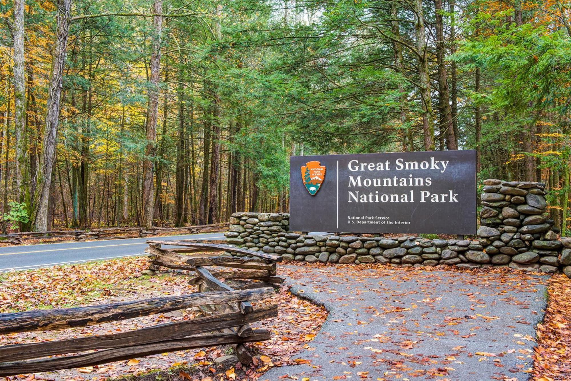 Fawn Cabin, 1 Bedroom, Sleeps 4, Hot Tub, Private, Pets, Gas Fireplace Gatlinburg Buitenkant foto